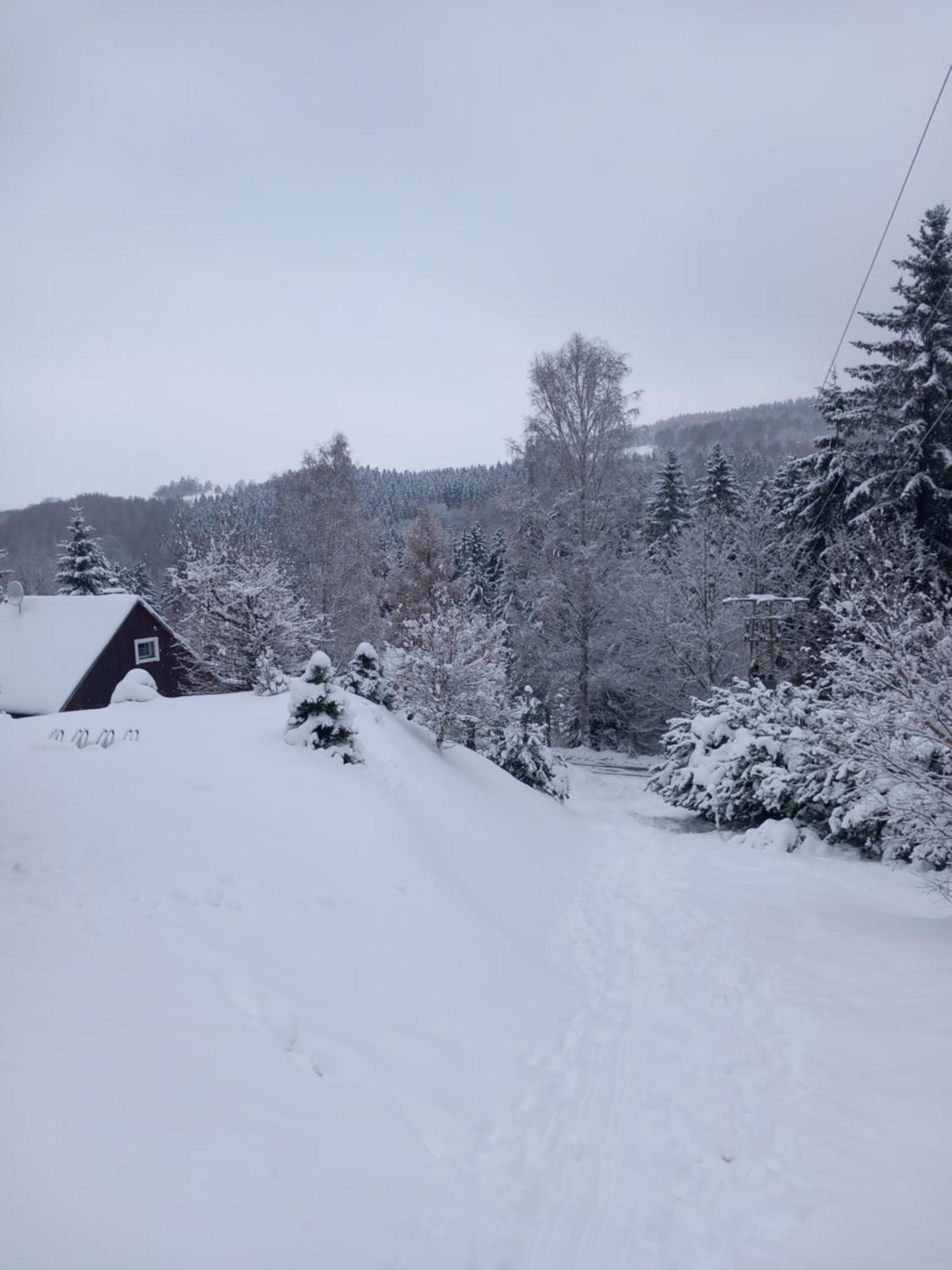 Hygge Chaloupka V Horach Villa Český Jiřetín Bagian luar foto